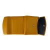 D-8580 Giallo