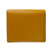 D-8580 Giallo