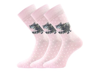 Ponožky  Foxana kočky (Parametr-barva kočky, Velikost 39-42 (26-28))