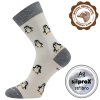 Ponožky VoXX® Sněženka tučňáci (Parametr-barva tučňáci, Velikost 39-42 (26-28))