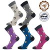 Ponožky VoXX® Sněženka tučňáci (Parametr-barva tučňáci, Velikost 39-42 (26-28))