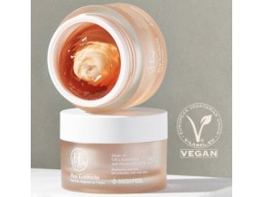 MEDI-PEEL Hyal Kombucha Tea Tox Cream - Hydratační krém s kyselinou hyaluronovou a kombuchou 50 ml