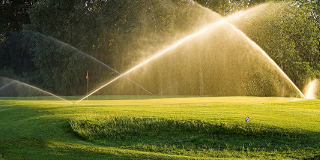 Kolik vody pro závlahu?