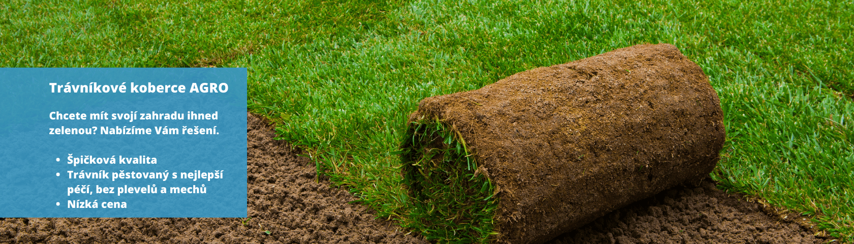 Trávníkové koberce Plzeň