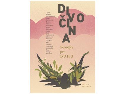Divočina obálka web