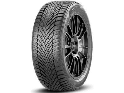 134619 pirelli powergy winter