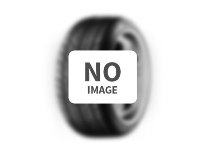 Michelin Z285/40 R19 PILOT ALPIN Pa4 kierunkowy 103V N1