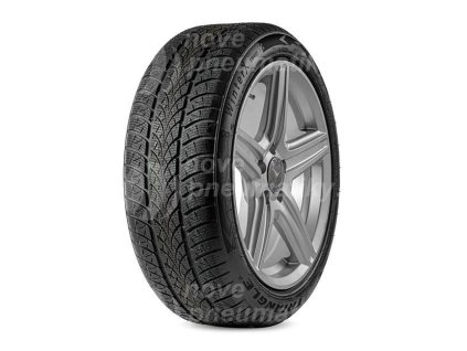 TRIANGLE Z195/55 R15 WINTERX TW401 85H