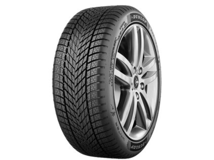 185058 dunlop winter