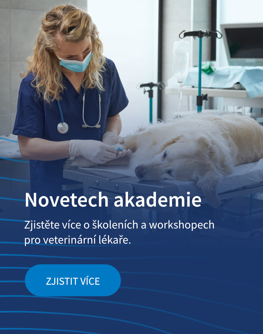 Novetech akademie