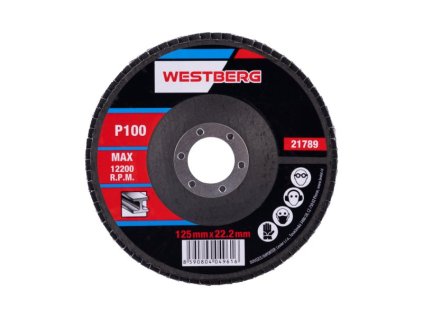 Kotouč lamelový WESTBERG 125mm P100