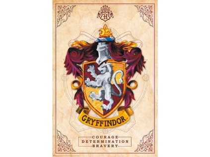 plakat harry potter nebelvir 618a86a2d6d1e