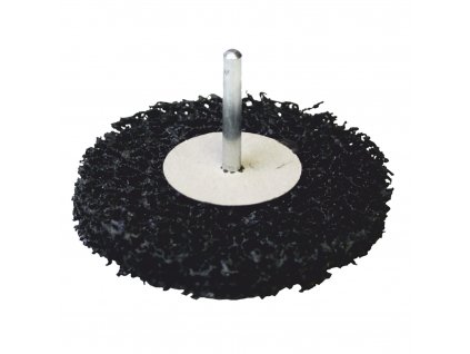 RICHMANN Kotouč nylonový čistící na stopce | 100x13 mm, stopka 5,5 mm