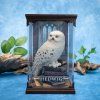 harry potter magical creatures soska hedviky 69c678e3b6c9b