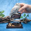 harry potter magical creatures soska hedviky 69c678f3bdd08