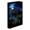 svitici obraz harry potter nocni bradavice 639a9a95ba167