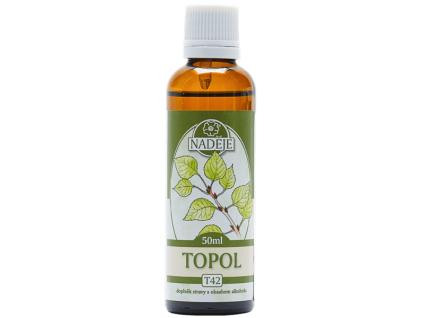 T42 topol