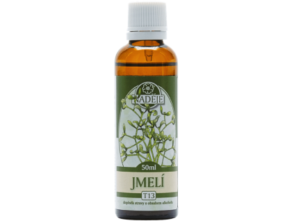 T13 jmeli