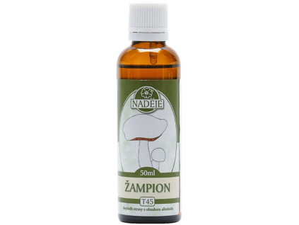 T45 zampion