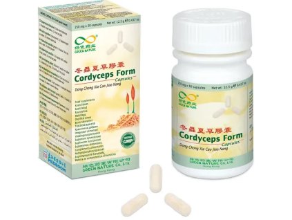 657960 cordyceps form housenice cinska.1807896156 e1756116737440