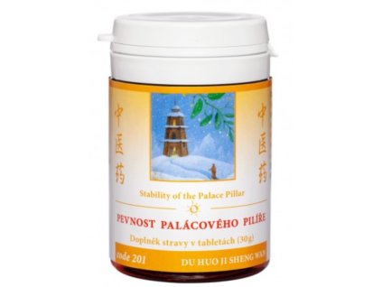 PEVNOST PALÁCOVÉHO PILÍŘE (201) 100tablet