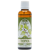 T42 topol