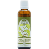 T14 ginkgo biloba