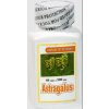 Kozinec blanitý - Astragalus 60 kapslí