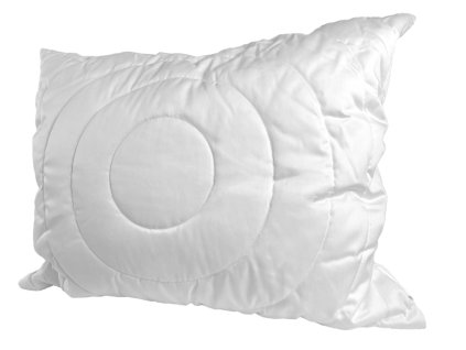 vankus asthma friendly