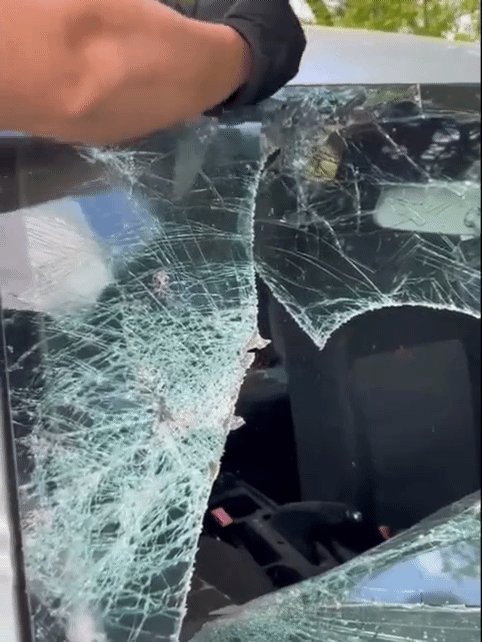 New Project_partial_1