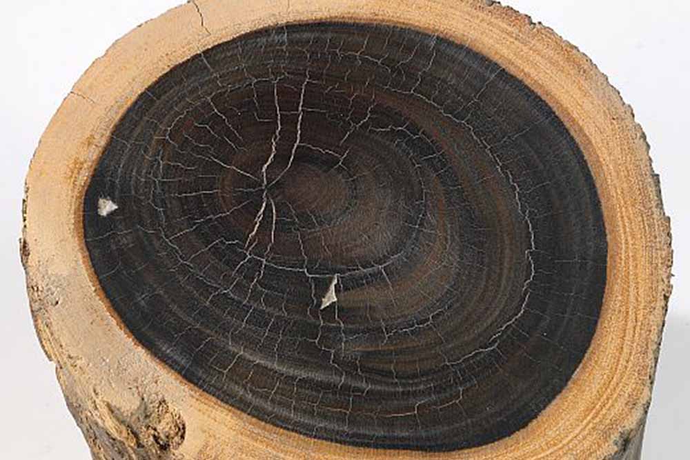 Ebenové dřevo