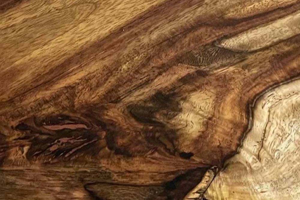 Dřevo Palisandr (Sisso Wood)