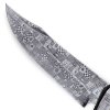 dellinger spider H247 4 2
