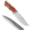 Mamooth Tusk Damasteel 1