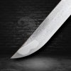 Katana HANAZUKE - 2.30 Shaku, Folded AISI 1075 Steel, Polished Hamon Imitation, Yokote