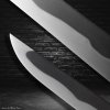 japanese tanto Dragon & Tamahagane Steel & Real Notare Hamon