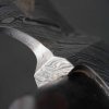 sekera Dellinger Handy damascus PMX71 8