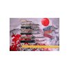 japonský nůž HIGONOKAMI "L" full steak – black PO-005B 13
