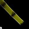 Japanese Take Shikomizue - Green Bamboo, T-10 Steel, Real Choji Hamon