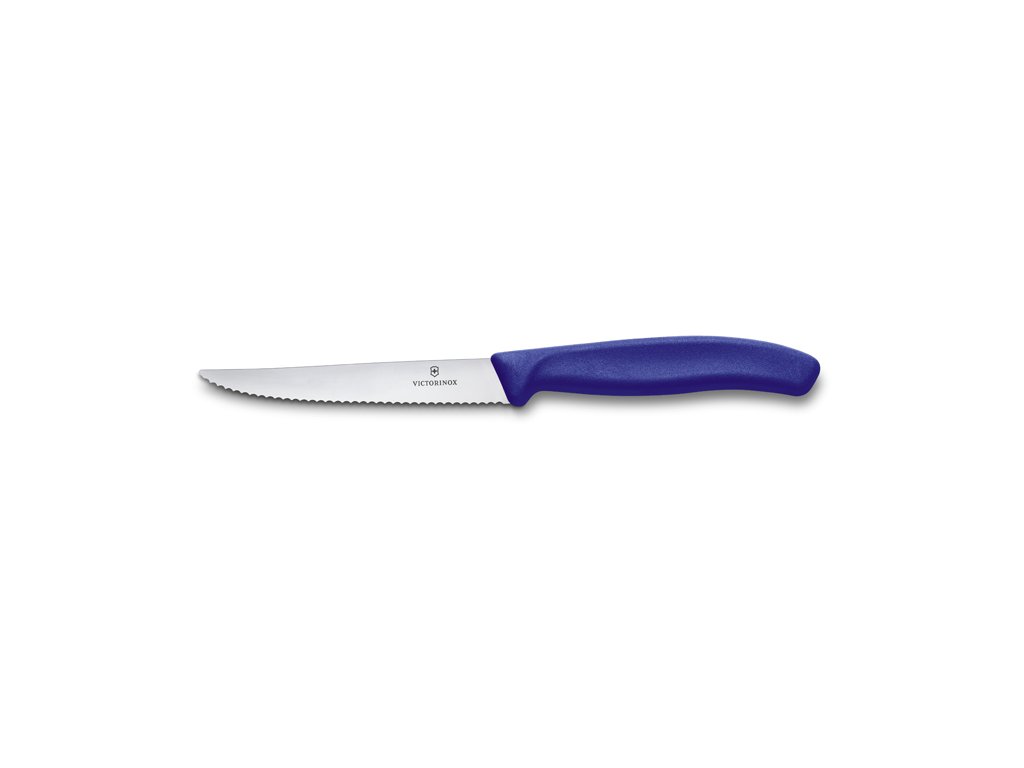 Nůž steakový 11 cm modrý