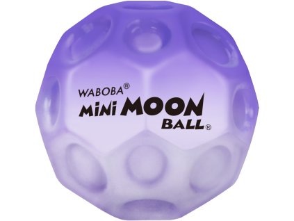 Waboba MoonBall purple