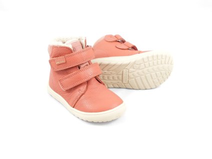 Protetika Beka Koral