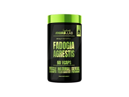 wizualka fadogia detal