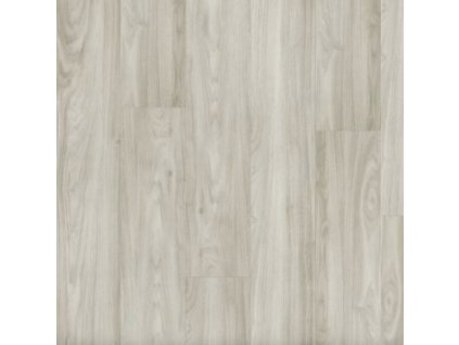 14123 2 Dub Bělený