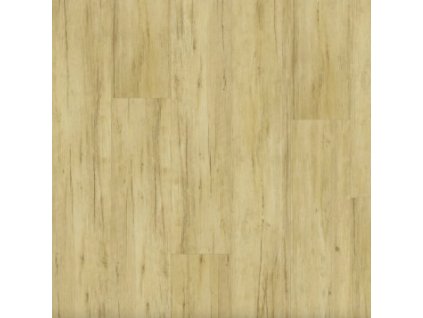 14173 1 Buk Brazilský