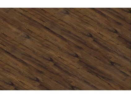 Dub nugátový 12162 1