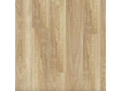 14145 1 Topol Kávový