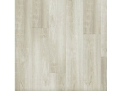 14144 1 Topol Bílý