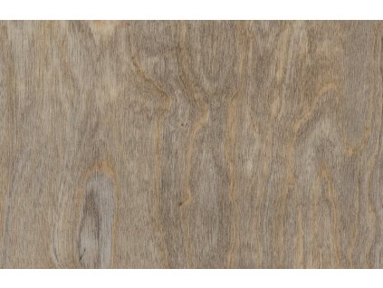 Bleached Elm SF3W2516