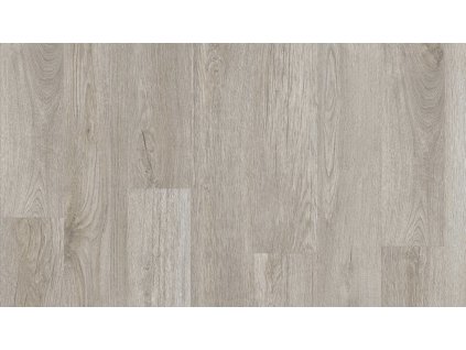Stellata Oak 89940
